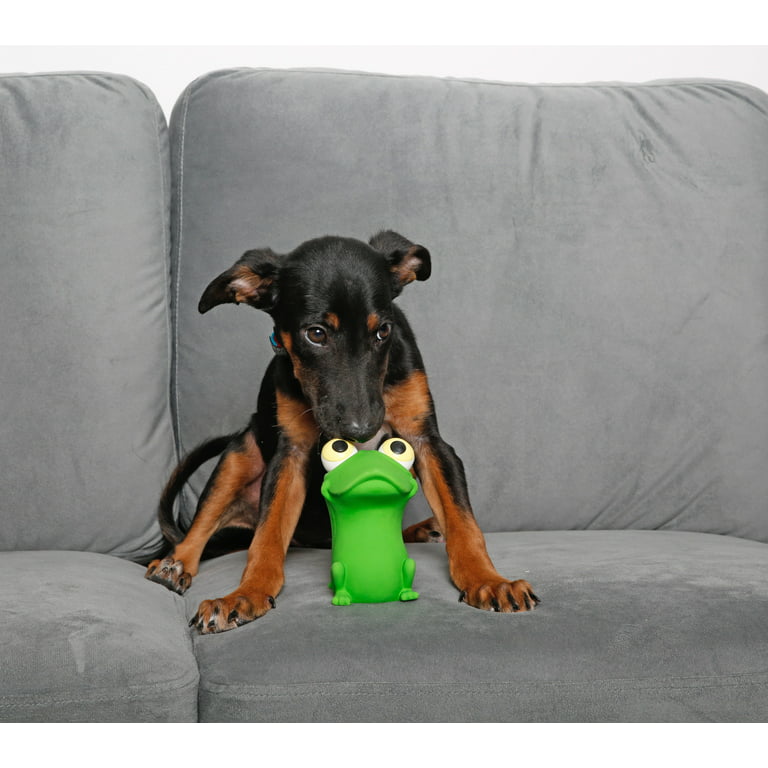 Hartz® Squeak & Treat Dog Toy