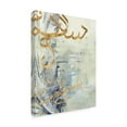 thumbnail image 2 of Trademark Fine Art 'Arabic Encaustic III' Canvas Art by Jennifer Goldberger, 2 of 4