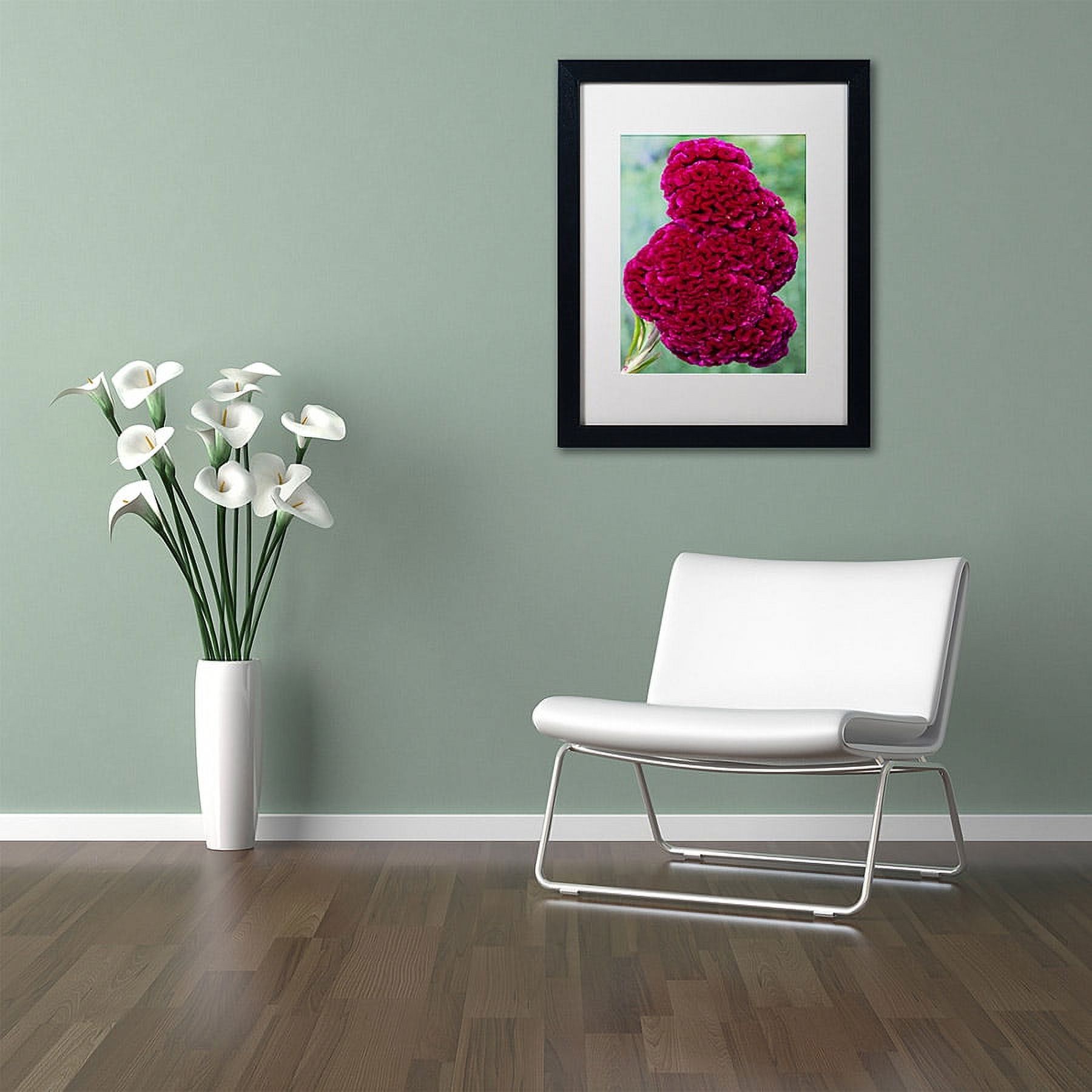 Trademark Fine Art "Coxcomb Flower" Canvas Art by Kurt Shaffer, White Matte, Black Frame