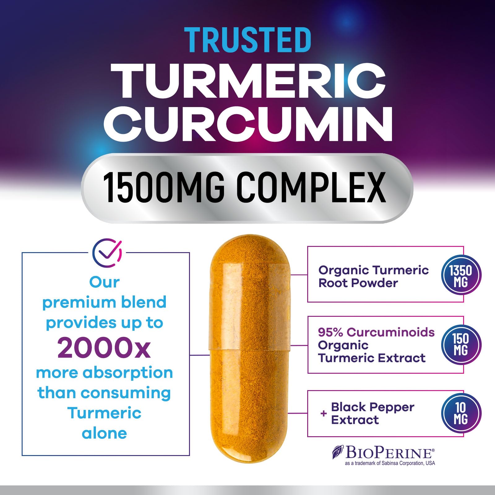 Turmeric Curcumin Supplement - 95% Curcuminoids with Organic Turmeric & Ginger, BioPerine Black Pepper Extract for Best Absorption, Natural Vegan Joint Support, Non-GMO, Bottled in USA - 240 Capsules