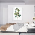 thumbnail image 2 of ARTCANVAS Hemlock Warbler Canvas Art Print by John James Audubon - Size: 40" x 26" (0.75" Deep), 2 of 9