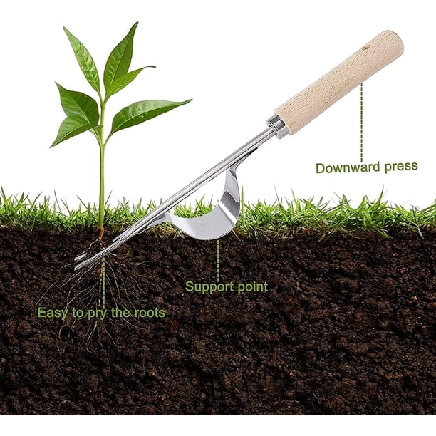 Deshierbe manual de acero inoxidable Extractor de malezas manual Herramienta de deshierbe de jardín con mango para deshierbar Quitar dientes de león 30.5 cm 3 piezas