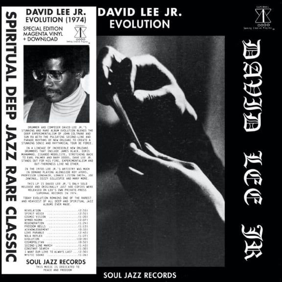 David JR Lee - Evolution - Music & Performance - Vinyl