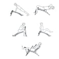 thumbnail image 4 of Aparato Abdomen Ejercitador Multifuncional 6 en 1 CENTURFIT Banco Entrenamiento Infinit, 4 of 6