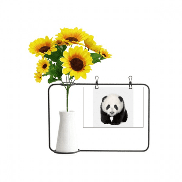 Tarjeta de bendición Unbranded ojos de oso panda jarrón de girasol artificial