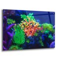 thumbnail image 2 of Epic Art 'Underwater Amazons' by Epic Portfolio Acrylic Glass Wall Art, 36"x24", 2 of 8