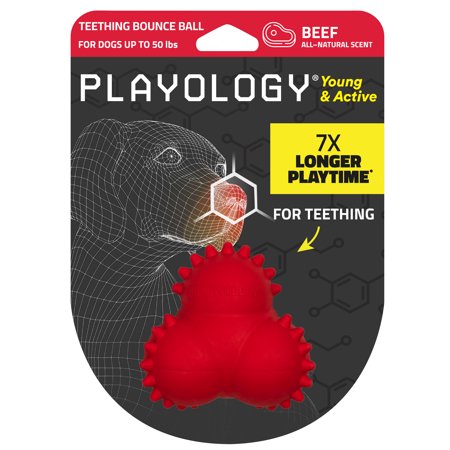 Playology Puppy Bounce Ball Dog Toy for Young & Active Dogs | Medium Sized Chew Toy with Squeaker for Puppies up to 50lbs | Engaging All-Natural Beef Scented Toy