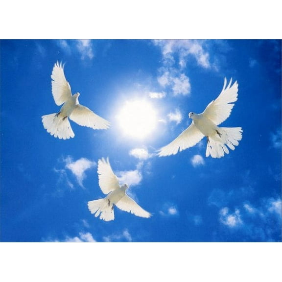 Avanti Press Three White Doves Circling Sympathy Card