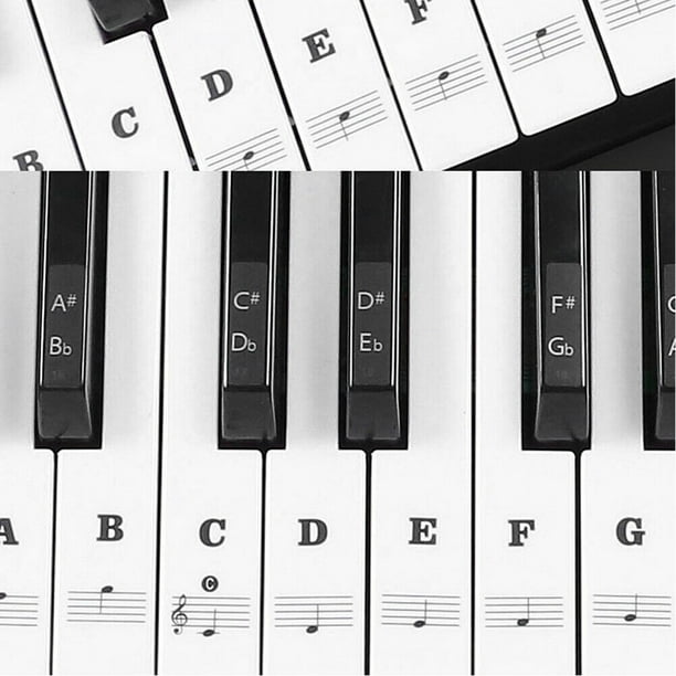 Greensen Amovible 88 touches piano clavier électronique note touches  blanches autocollants étiquettes pour les débutants, autocollant clavier de  piano, autocollant touches de piano 