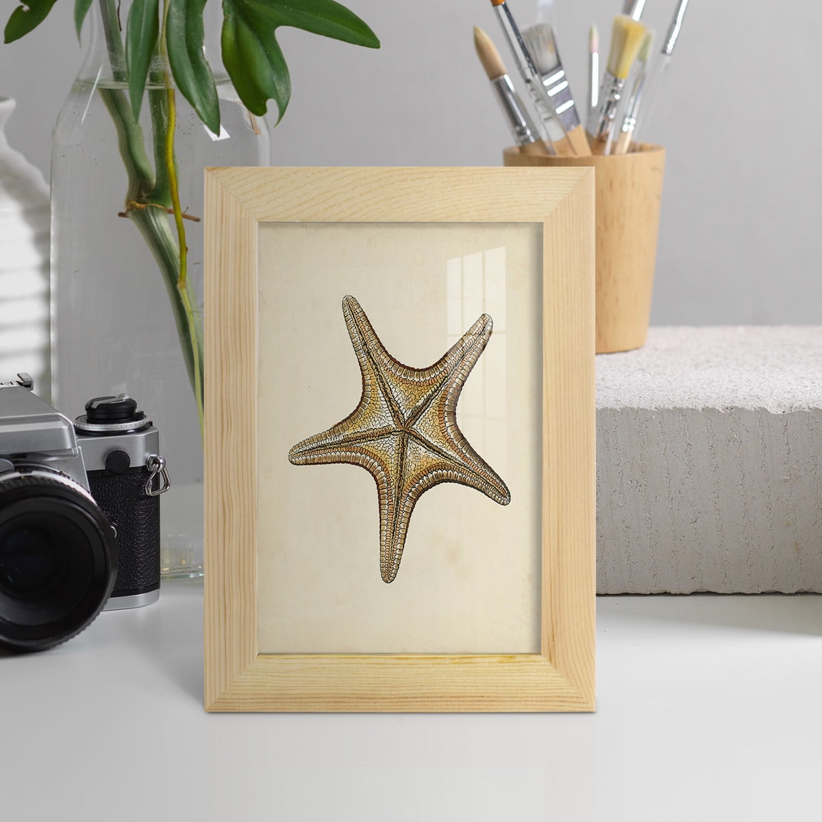 Sealife Collection IV - Framed Print w/glass - Natural Wood