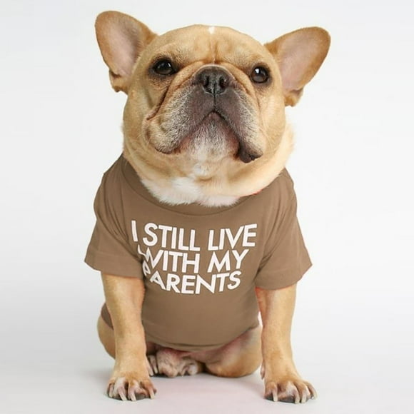 SIfdSeng Pet Clothes Four Seasons Pet Clothes Pug Round Neck T Shirt Comfortable Cute Teddy Small Dog Cat Apparel Dog Clothes Medium Sized Doggirl Xs Dog Clothes