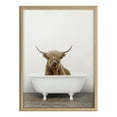 thumbnail image 2 of Kate and Laurel Blake Highland Cow in Tub Color Framed Printed Glass Wall Art by Amy Peterson Art Studio, 18x24 Natural, Farmhouse Inspired Animal Art for Wall, 2 of 7