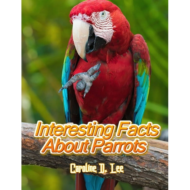 Interesting Facts About Parrots : Animal fact for girl age 1-10 (Paperback) Interesting Facts About Parrots : Animal fact for girl age 1-10 (Paperback)