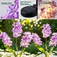 thumbnail image 4 of Rirool Solar Hyacinth Flower Lights Outdoor 2 Pack, Color Changing LED Garden Lights Waterproof Auto On/Off for Yard Patio Pathway Purple, 4 of 8