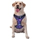 thumbnail image 1 of Balery Space Arnés para Perros Grandes Antitirones, Arnés con Correa para Gato, Arnés Tipo Chaleco para Perros Pequeños-Large, 1 of 6