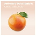 thumbnail image 3 of doTERRA - Huile Essentielle de Pamplemousse - 15 ml, 3 of 5