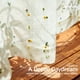 thumbnail image 4 of Cortinas semi transparentes jinchan para cocina con pompones, 91 cm, 2 paneles, 4 of 9