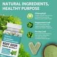 thumbnail image 2 of Adeqauom Chlorophyll & Parsley Supplement,Vegan & Organic Deodorant That Works from The Inside Out ,60 Vegan Capsules, 2 of 6