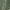 Green Wind Palm, variant on Kindly Yours Women's Seamless Pullover V-Neck Bralette, Sizes S-XXXL