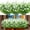White, variant on 8 Bundles Outdoor Artificial Flowers UV Resistant Fake Plants Faux Plastic Greenery for Indoor Outside Plants Garden Porch Window Home Wedding Farmhouse Decor
