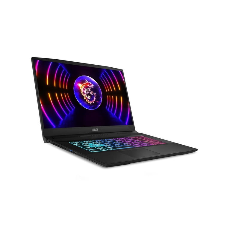 MSI 17.3