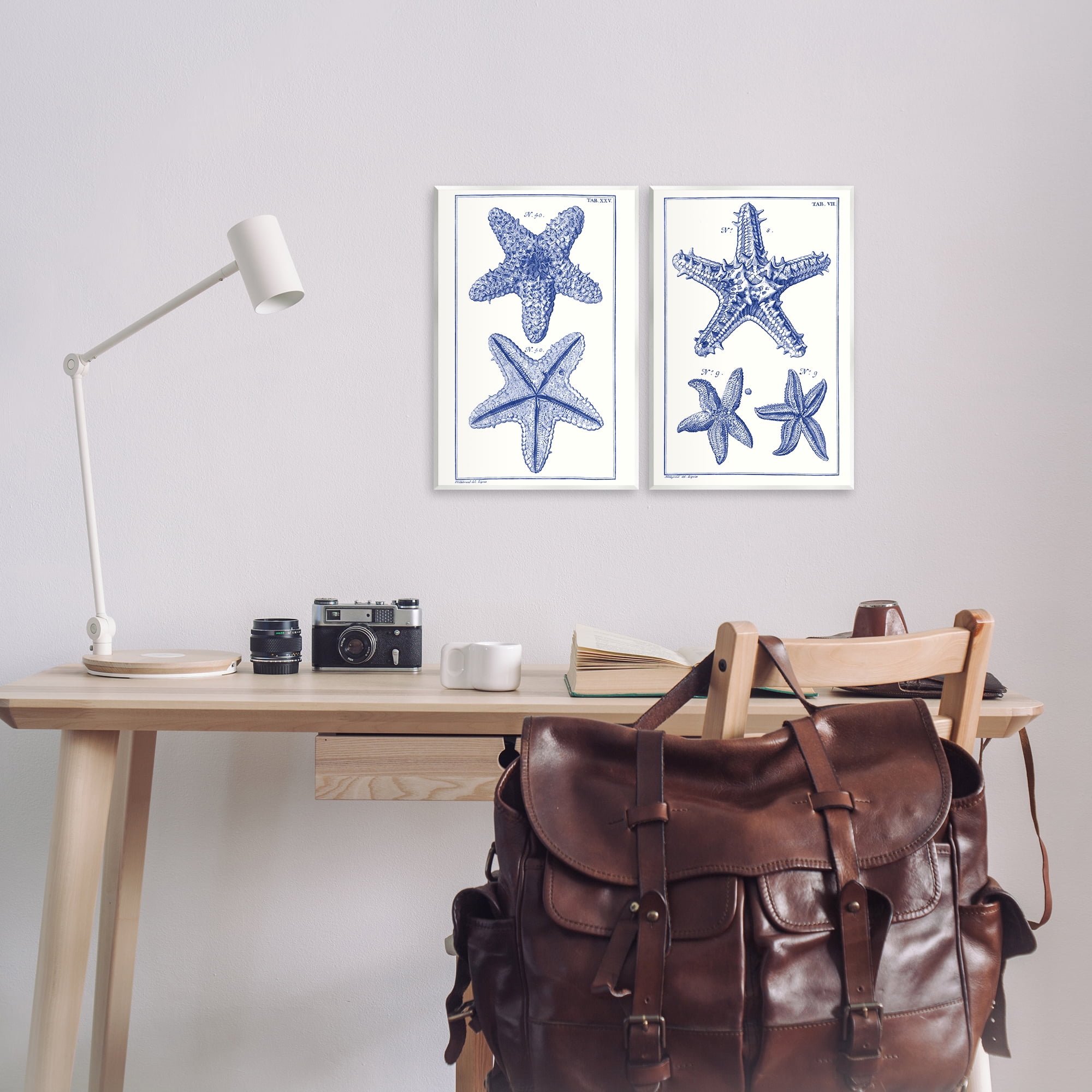 Stupell Industries Diagram of a Starfish Nautical & Beach Painting Unframed Art Print Wall Art, 10 x 15, Set of 2