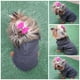 thumbnail image 3 of Sudadera para perro o gato Mi Baúl Gris Talla 5, 3 of 4