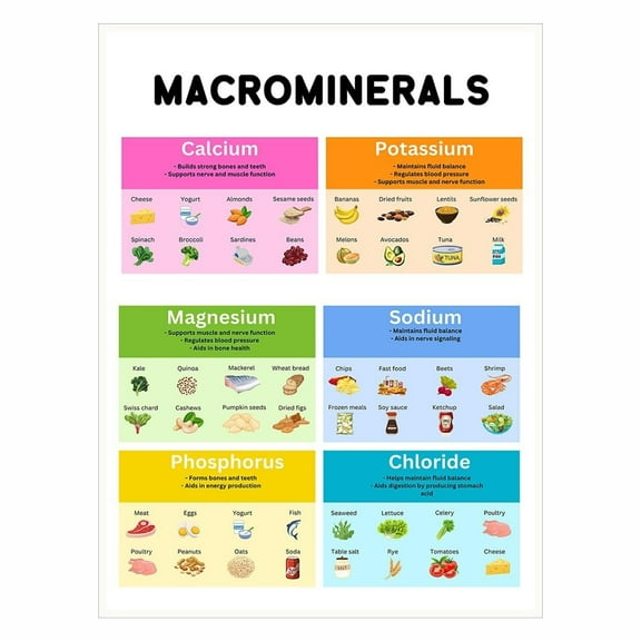 Vitamins Minerals Chart for Kids  Educational Nutrition Guide Poster for Healthy Eating, Classroom Learning, Kitchen or School Wall Art Decor