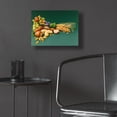 thumbnail image 5 of Epic Art 'Nuts' by Harro Maass, Acrylic Glass Wall Art, 16"x12", 5 of 8