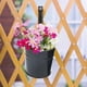 thumbnail image 4 of 10-pack Metal Hanging Flower Pots - for Fence or Balcony - with Detachable Hook, Black, 4 of 5
