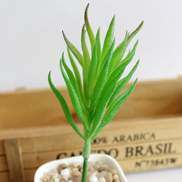 Artifical Plastic Succulent Plant Cactus Echeveria Flower Home Office Decor Gift