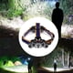 thumbnail image 2 of 20000lm impermeable al aire libre cinco LED lámpara principal carga USB Camping correr pesca faro, 2 of 11