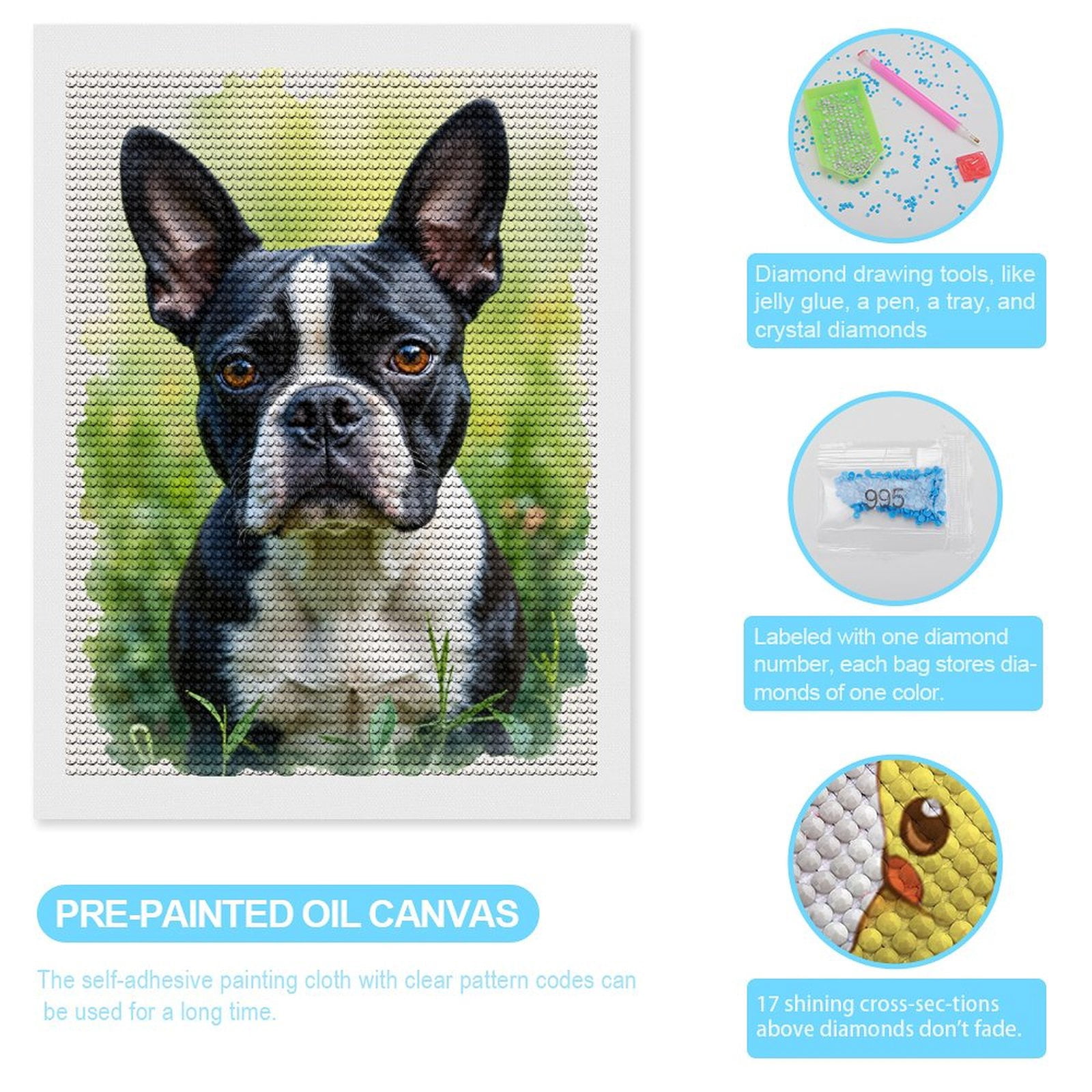 Diamond Art Kits for Adults, Boston Terrier Portrait Garden Bliss 5D Diamond Painting Kits for Adults Beginners, DIY Full Drill Diamond Painting, Gem Art and Crafts 12x16