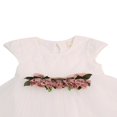 thumbnail image 3 of Robe Tutu en Tulle pour Tout-Petits, Nourrissons, Enfants, Bébés Filles, Robes de Princesse pour Fête, 3 of 4