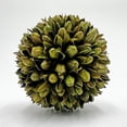 thumbnail image 2 of Bergamo Art Preserved PineCone and Oak Leaves Balls Bowl filler Decorative Orbs, 2 of 5