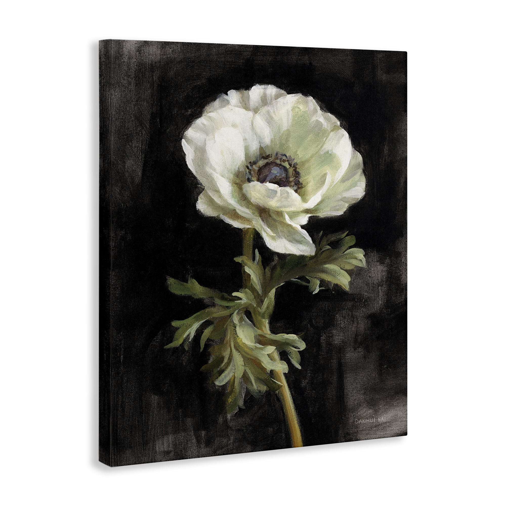 Stupell Industries Anemone on Black Plants & Flowers Painting Wrapped Canvas Art Print Wall Art, 24 x 30