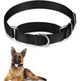 thumbnail image 1 of 1 unidad (M) collar de perro martingala a prueba de fugas, collar de martingala negro, collar ajustable de nailon para mascotas para perros medianos, niños y niñas, entrenamiento para caminar, viajar Sincero Electrónica, 1 of 5