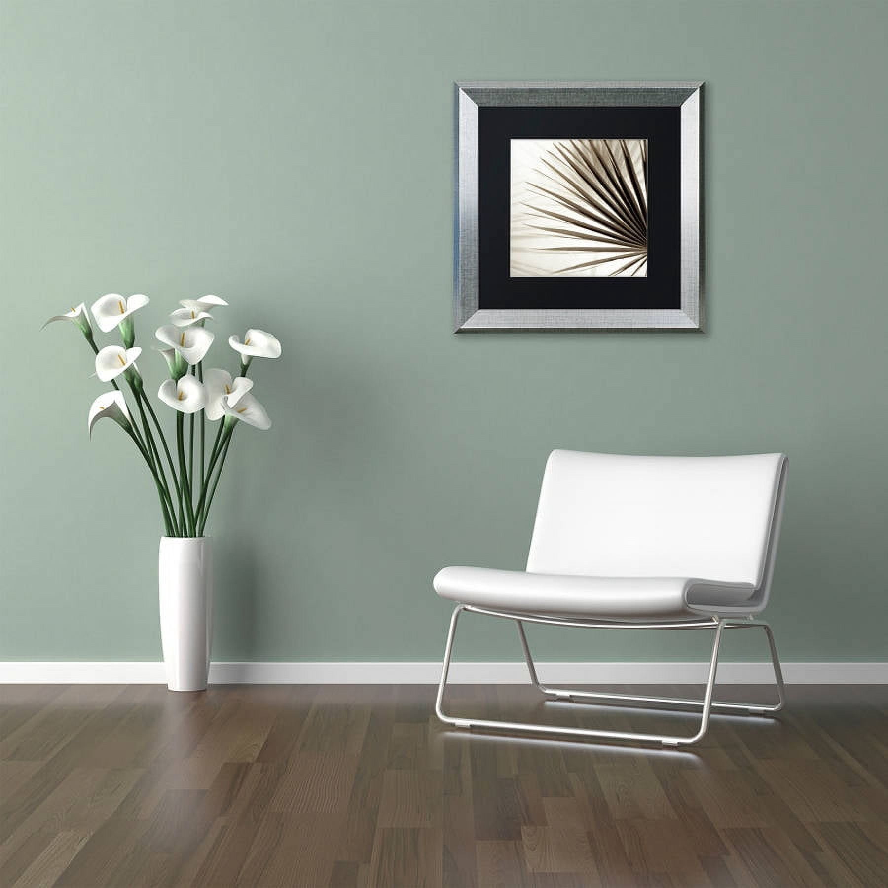 Trademark Fine Art "Florison 66" Canvas Art by Alan Blaustein, Black Matte, Silver Frame