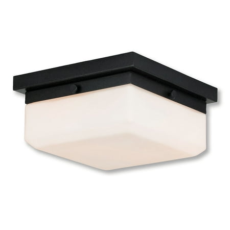 

Livex Lighting Allure 2 Light ADA Wall Sconce/Ceiling Mount