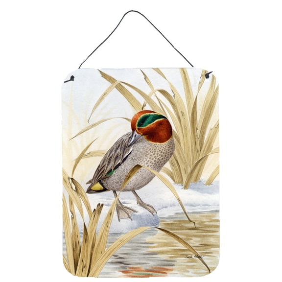 Eurasian Teal Duck Wall or Door Hanging Prints
