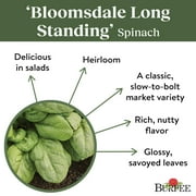 Burpee Organic Bloomsdale Long Standing Spinach Vegetable Seed, 1-Pack