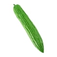 thumbnail image 1 of Tnarru Artificial Vegetable Centerpiece Simulation Vegetable for Drawing Party Shop Short Bitter Melon, 1 of 8