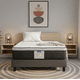 thumbnail image 1 of Colchon King Size Restonic + Almohada Memory Foam Serta, 1 of 5