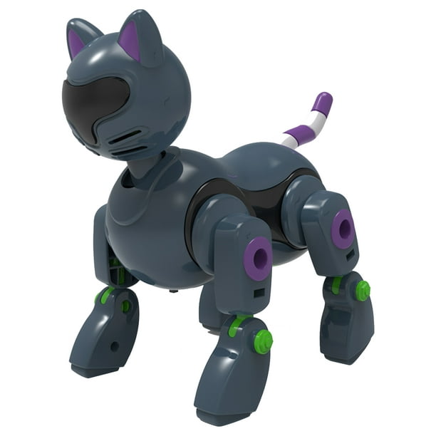 Robot chat jouet pour enfants bricolage jouet pour animaux de compagnie  jouet interactif intelligent éducatif enfants jouets adapté aux garçons  filles cadeau 