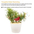 thumbnail image 2 of Scienceny Medidor de humedad del suelo de resina para pájaros, probador de bonsái en maceta, Sensor de alarma, recordatorio de riego de jardín para Jardín y Patio Rojo, 2 of 6