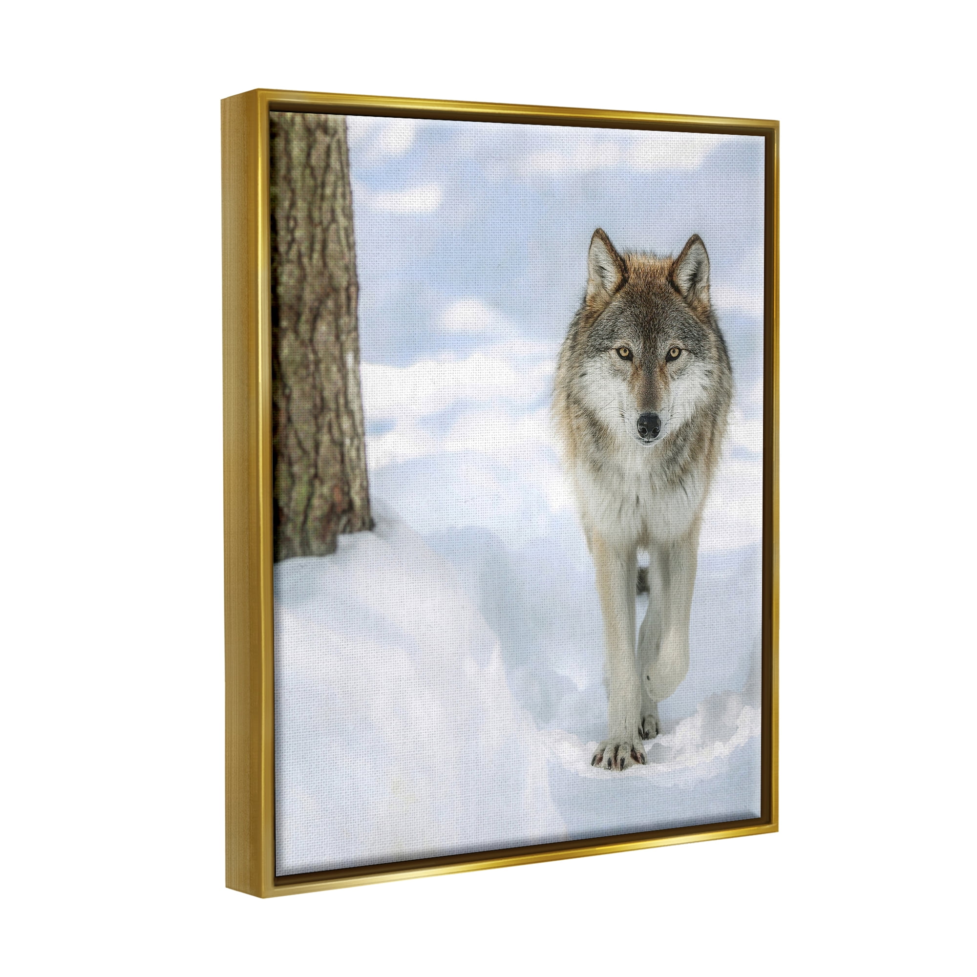 Stupell Industries Wild Wolf Winter Snow Photography Animals & Insects Photography Gold Floater Framed Art Print Wall Art