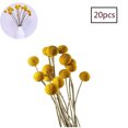 thumbnail image 1 of Flores secas amarillo Billy botones bolas ramo ramo, flores secas Billy botones arreglos decorar para mejorar el hogar, boda, negocios Jormftte LL-1895, 1 of 1