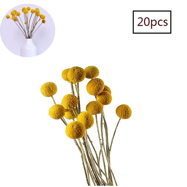 Flores secas amarillo Billy botones bolas ramo ramo, flores secas Billy botones arreglos decorar para mejorar el hogar, boda, negocios Jormftte LL-1895