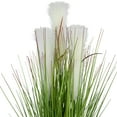 thumbnail image 3 of Northlight 27" Artificial Onion and Pampas Grass in Black Pot, 3 of 6