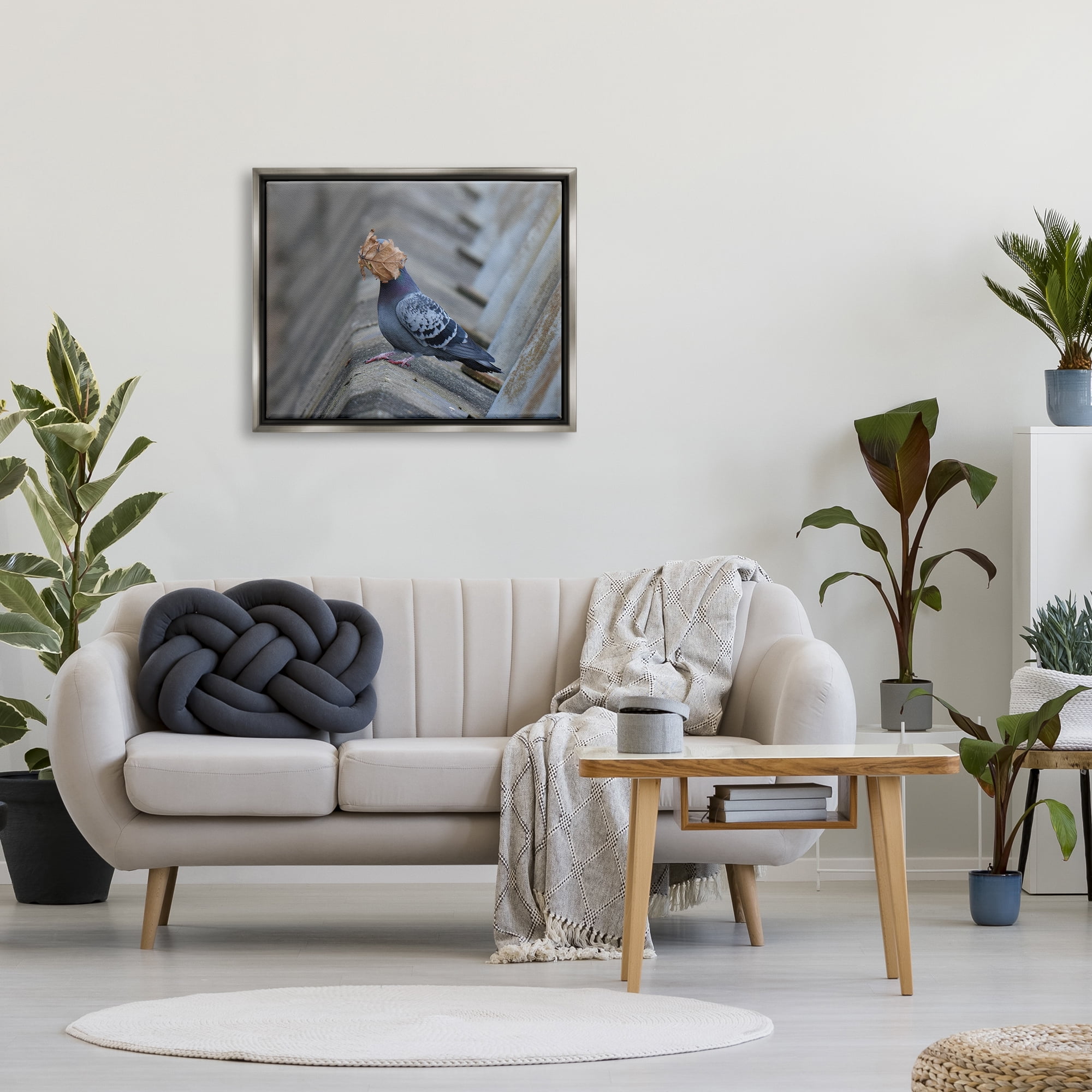 Stupell Industries Funny Leaf in Pigeon's Face Animals & Insects Photography Gray Floater Framed Canvas Art Print Wall Art, 31 x 25